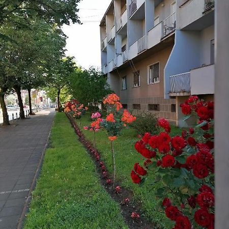 Apartman Borak Apartamento Kladovo Exterior foto